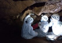 Las cuevas de Maltravieso y Escoural contarán con un recorrido virtual en 3D