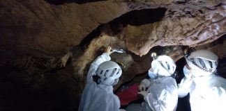 Las cuevas de Maltravieso y Escoural contarán con un recorrido virtual en 3D