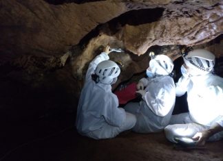 Las cuevas de Maltravieso y Escoural contarán con un recorrido virtual en 3D Las cuevas de Maltravieso y Escoural contarán con un recorrido virtual en 3D