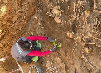 Finalizan los trabajos de localización de las víctimas franquistas en el cementerio de Badajoz