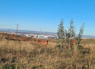 Continúan las labores de búsqueda de Pablo Sierra