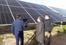 Alter Enersum finaliza las tres nuevas plantas fotovoltaicas de Cáceres