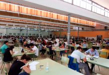 Extremadura convoca 500 plazas de maestros de siete especialidades
