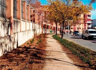 Avenida de las Delicias de Cáceres
