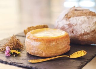 Queso, agua y lujo para disfrutar de Casar de Cáceres