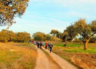 Más de 400 personas han disfrutado de las rutas senderistas de Navidad en Cáceres
