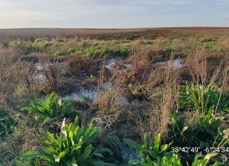 Denuncian grandes vertidos de aguas residuales en Almendralejo
