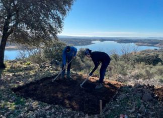 ¿Cuáles son las últimas novedades de Castillejo, en Villasbuenas de Gata?