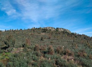 Salaya asegura que el proyecto budista del cerro Arropé no acabará como Valdecañas Saraya asegura que el proyecto budista del cerro Arropé no acabará como Valdecañas
