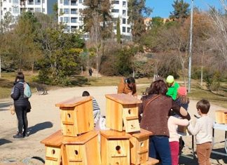 Naturalmente Cáceres planta nuevas especies de árboles