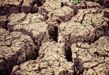 Extremadura mesa de la sequía