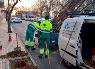 Puesta a punto de la Avenida París de Cáceres Puesta a punto de la Avenida París de Cáceres