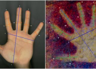 Los niños participaron en las pinturas de manos de Maltravieso