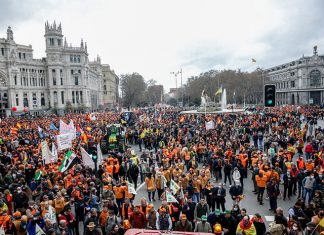 El campo se apodera de Madrid el campo se apodera de madrid