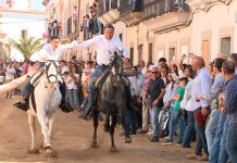 La niña arrollada por un caballo en Arroyo de la Luz recibe el alta