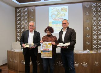 dia del queso castuera