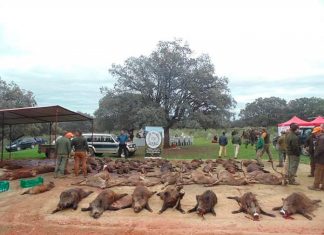 PACMA alerta que la declaración de BIC de la montería es nula PACMA alerta que que la declaración de BIC de la montería es nula