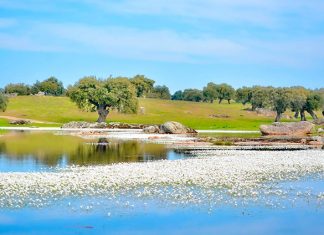 Arroyo de la Luz convoca el concurso fotográfico sobre medio ambiente