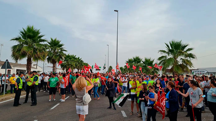 Los sindicatos desconvocan la huelga en el campo en Extremadura