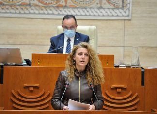 Ciudadanos apuesta por “actualizar” el protocolo de acoso escolar Ciudadanos apuesta por actualizar el protocolo de acoso escolar