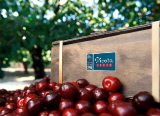 La DOP Cereza del Jerte presume de calidad y exclusividad Picotas Jerte