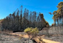 El Gobierno dará ayudas a las personas afectadas por los incendios en Extremadura