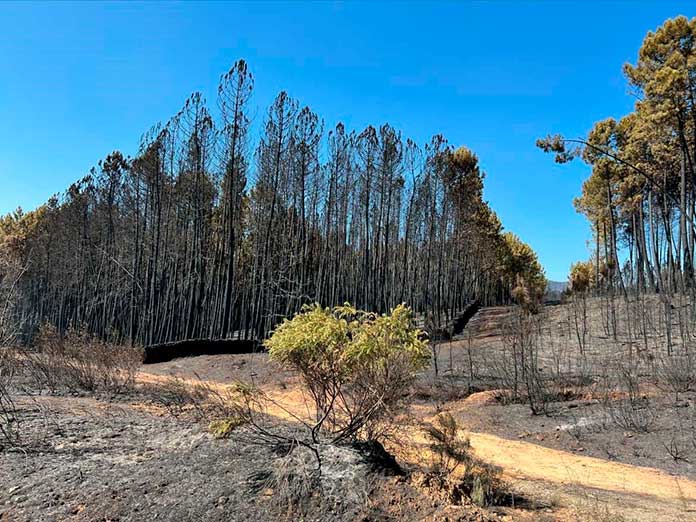 El Gobierno dará ayudas a las personas afectadas por los incendios en Extremadura