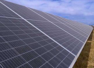 Arranca en Extremadura la planta fotovoltaica de Iberdrola, la más grande de Europa Iberdrola Extremadura