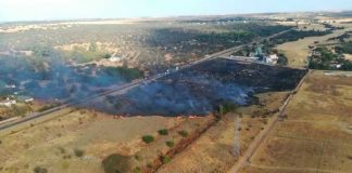 Estabilizado el incendio en Badajoz y desactivado el nivel 1 de peligrosidad