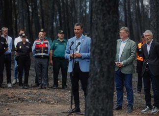 Los territorios afectados por los grandes incendios serán zona catastrófica El Gobierno declarará zona catastrófica a los territorios afectados por grandes incendios