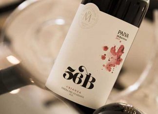 Récord de exportaciones de vino español Récord de exportaciones de vino español