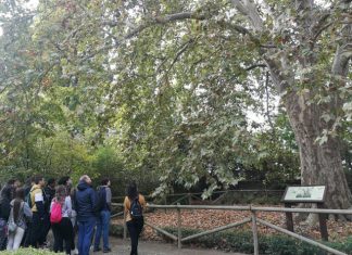 Turismo rural otoño Jóvenes en la Naturaleza