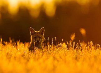 Extremadura paraíso natural de Europa