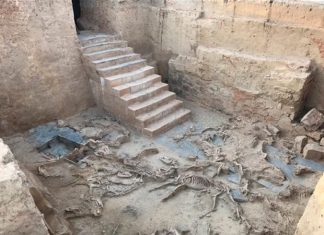 Excavaciones Casas Turuñuelo