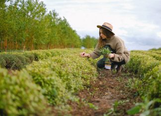 La Junta destaca el papel de las mujeres en el desarrollo del medio rural mujer rural