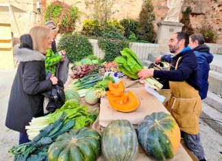 Biomercado quincenal Cáceres