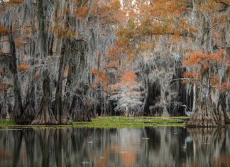 Abierto el plazo del concurso de fotografía de la FIO Concurso fotografía FIO