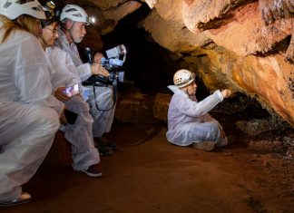 Cueva de Maltravieso