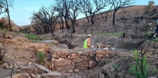 Plantación Miravete