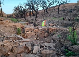 La Junta plantará 2.000 encinas y alcornoques en Casas de Miravete, Jaraicejo y Romangordo Plantación Miravete