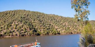 Barco turístico Tajo Internacional