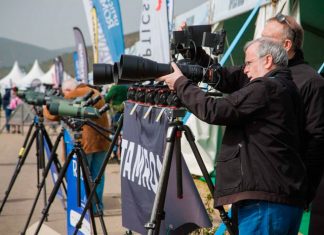 SEO/BirdLife acercará con sus telescopios las aves de Monfragüe al público en la FIO FIO 2023 Extremadura