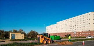 Ajardinamiento Junquillo