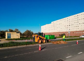 Comienza el ajardinamiento en el barrio del Junquillo Ajardinamiento Junquillo