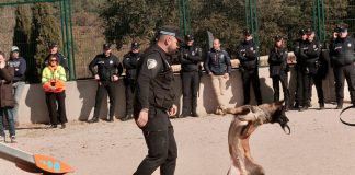 Nero parque canino Parque del Príncipe