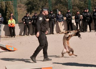 Nero parque canino Parque del Príncipe