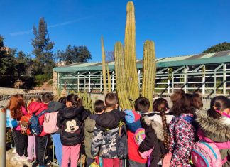 Talleres Semana Santa Naturalmente Cáceres