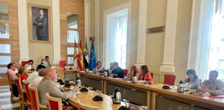 Comisión de Acción Comunitaria sobre puestos Womad
