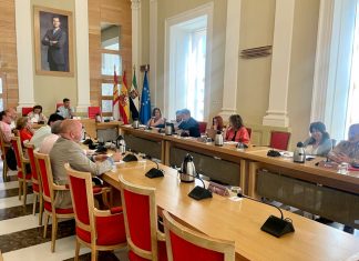 Comisión de Acción Comunitaria sobre puestos Womad