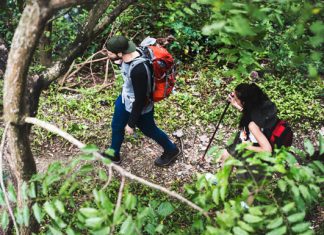 La Ruta Senderista del Rey Jayón se celebra este domingo Ruta Senderista del Rey Jayón
